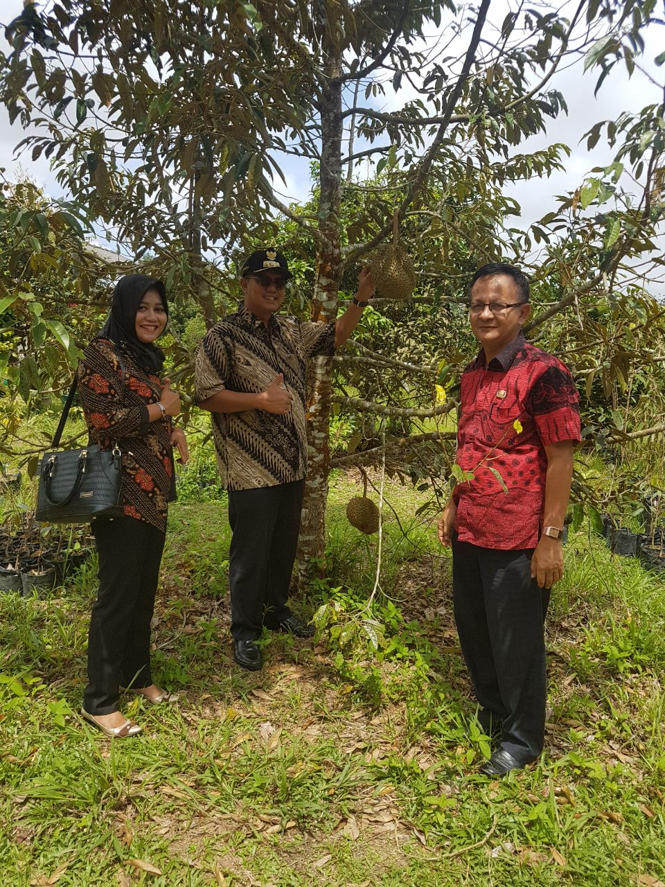 thumbnail-Pertanian dan Perkebunan