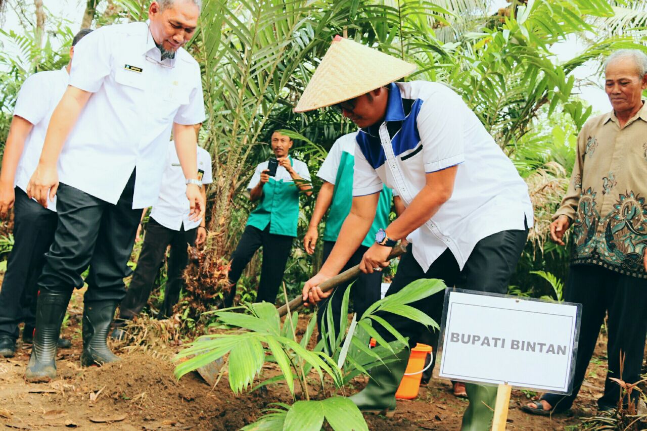 thumbnail-Pertanian dan Perkebunan