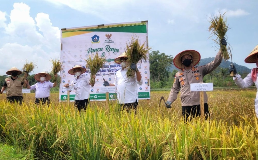 thumbnail-Pertanian dan Perkebunan