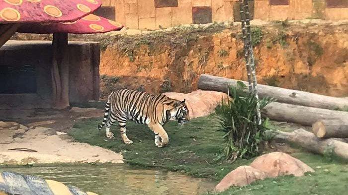 thumbnail-proyek_investasi-Ecotourism dan Argotourism