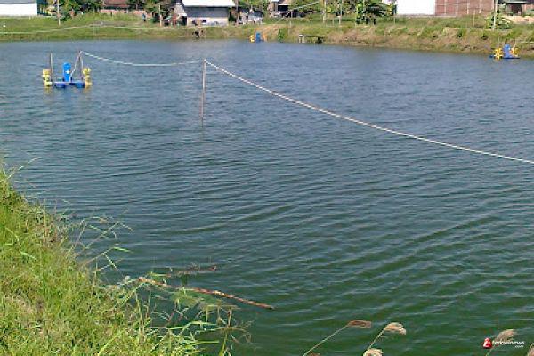 thumbnail-proyek_investasi-Perikanan