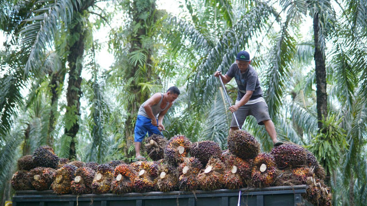 thumbnail-proyek_investasi-Industri